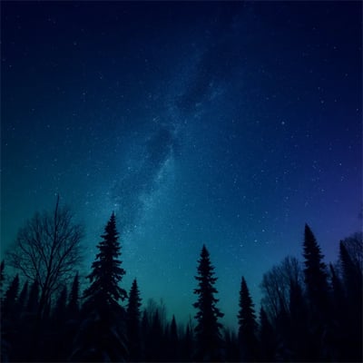 Online Star Register - A gift that lasts forever