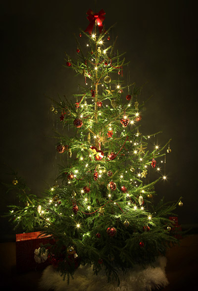 The 8 Basics of Decorating Your Christmas Tree - Online Star Register