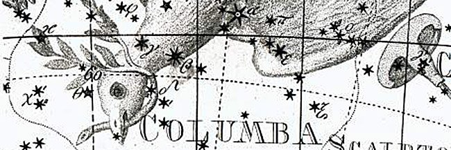 Columba Stars