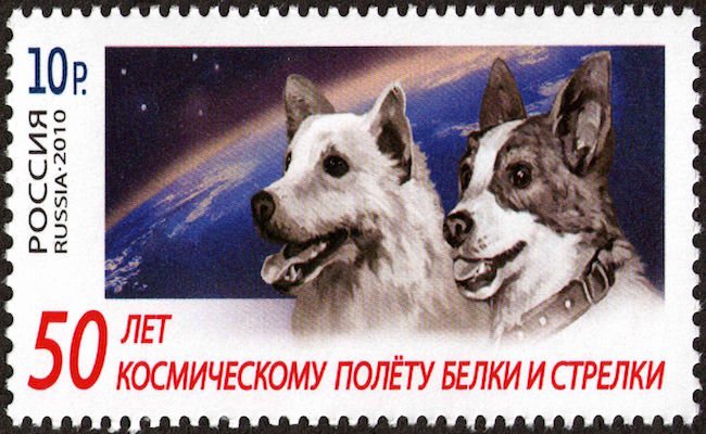 History of Animals in Space - Online Star Register