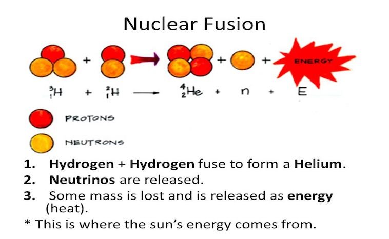 Fusion Diagram