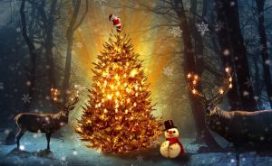 kerstapp-kerstboom-kinderen-kerstmis