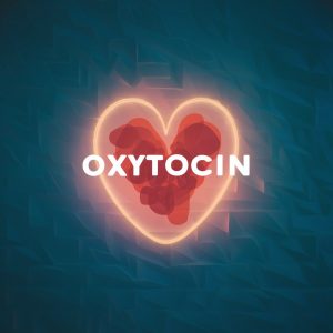 Descubre el poder de la oxitocina para fortalecer tus relaciones.