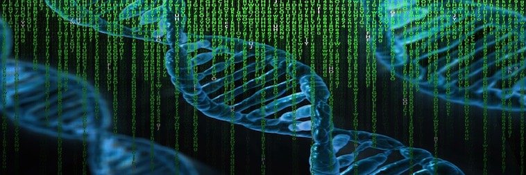 DNA Changes Humans