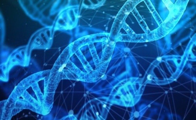 DNA Changes Humans