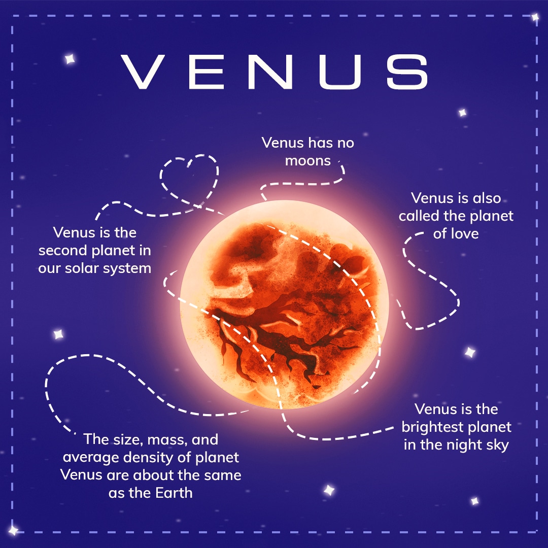 venus-mind-map