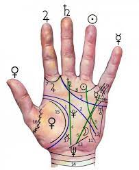 Analisi della struttura della mano