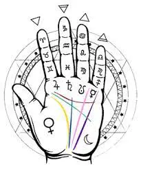 Struttura della mano