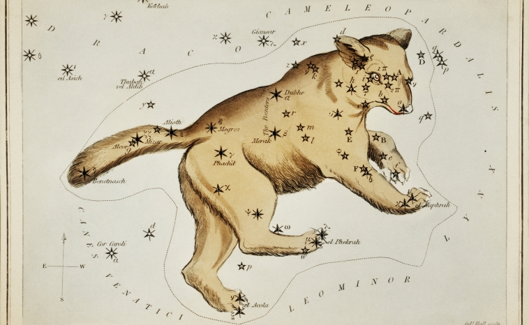 An illustration depicting the Ursa Major Constellation as a bear