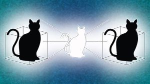 El gato de Schrödinger y como funciona este experimento
