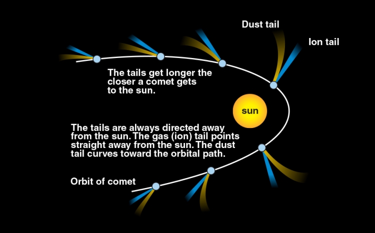 An diagram highlighting the tails and orbit of a comet.