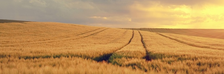 Equinócio de primavera
