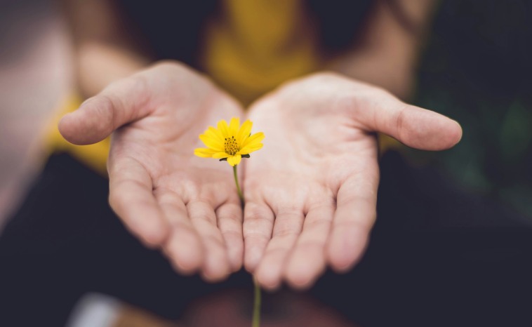 A pair of open hands and a sprouting flower, representing a shoot of hope and care. These elements are perfectly embodied by a thoughtful get well soon gift.