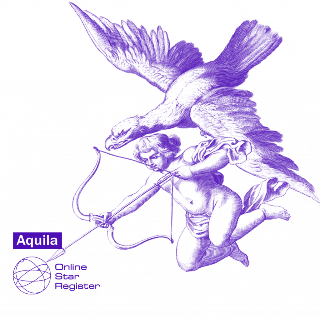 Aquila