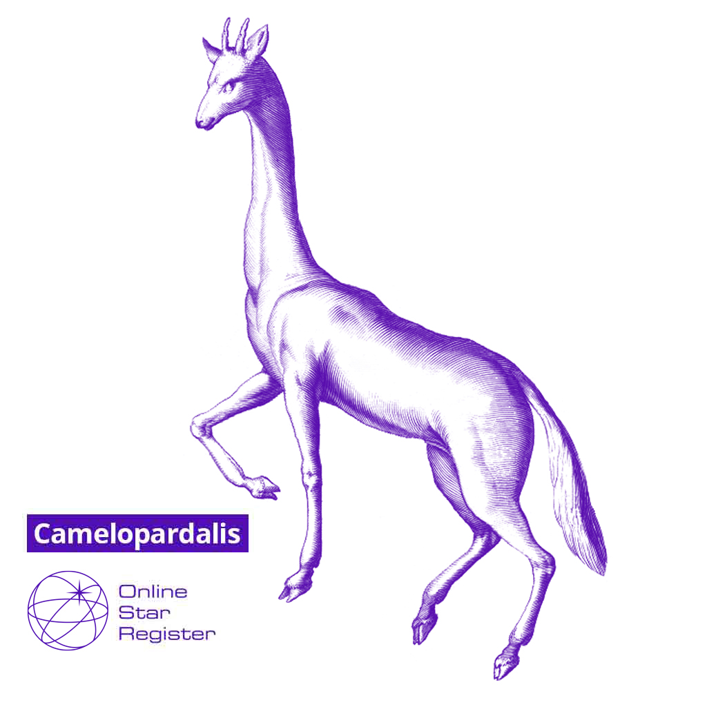 Camelopardalis