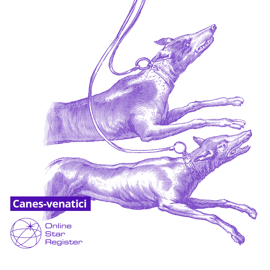 Canes Venatici