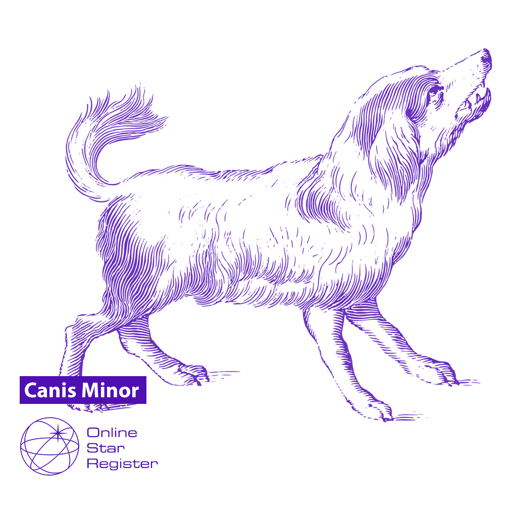 Canis Minor