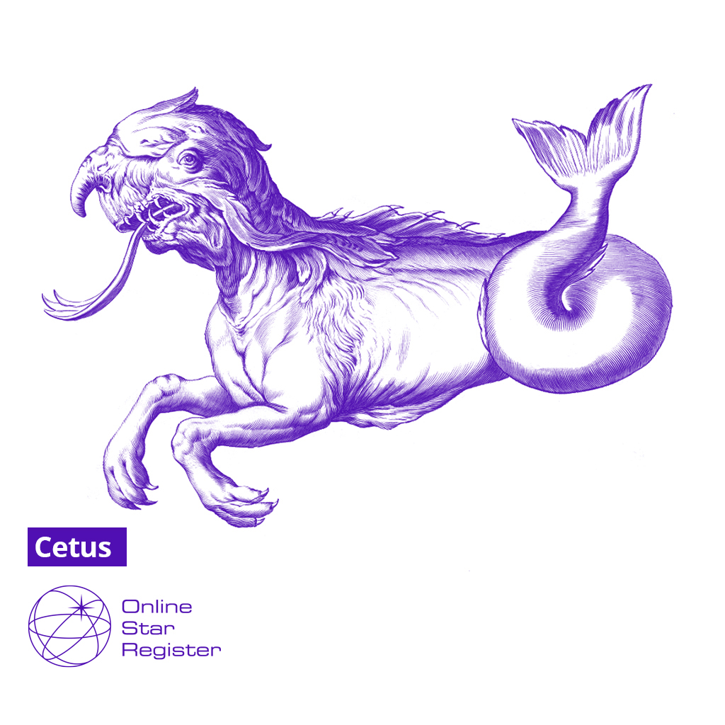 Cetus