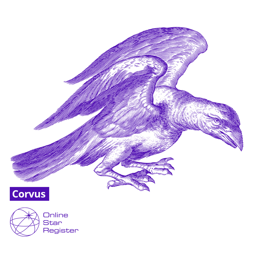 Corvus