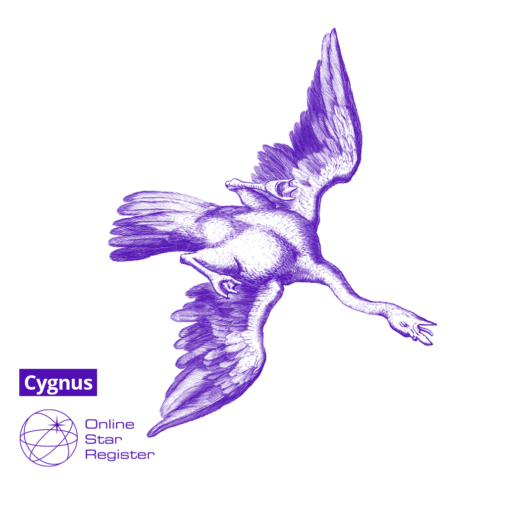 Cygnus