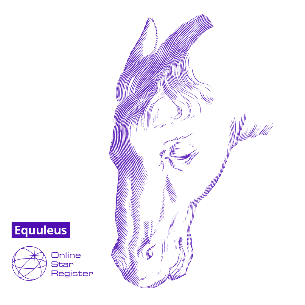 Equuleus