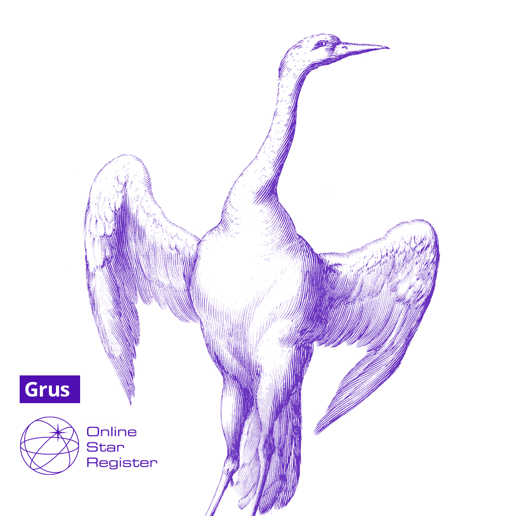 Grus