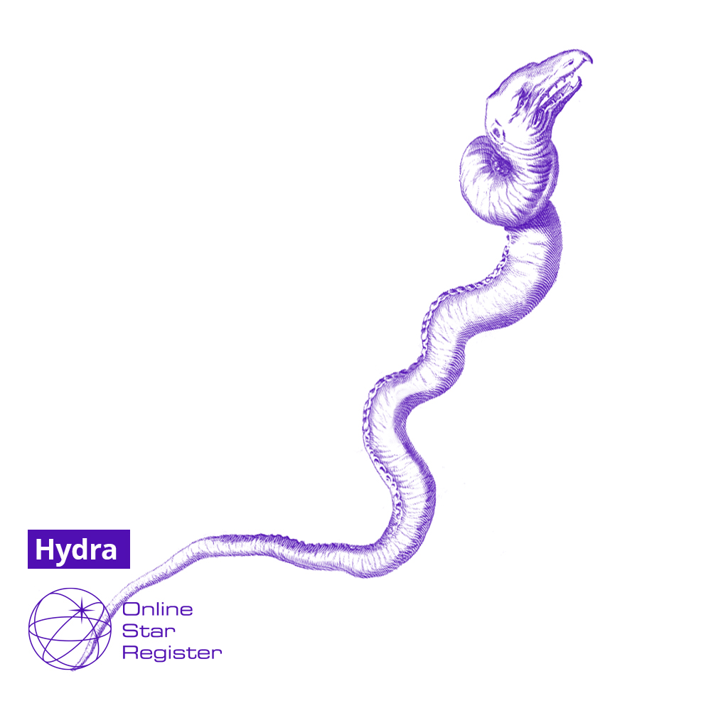 Hydra