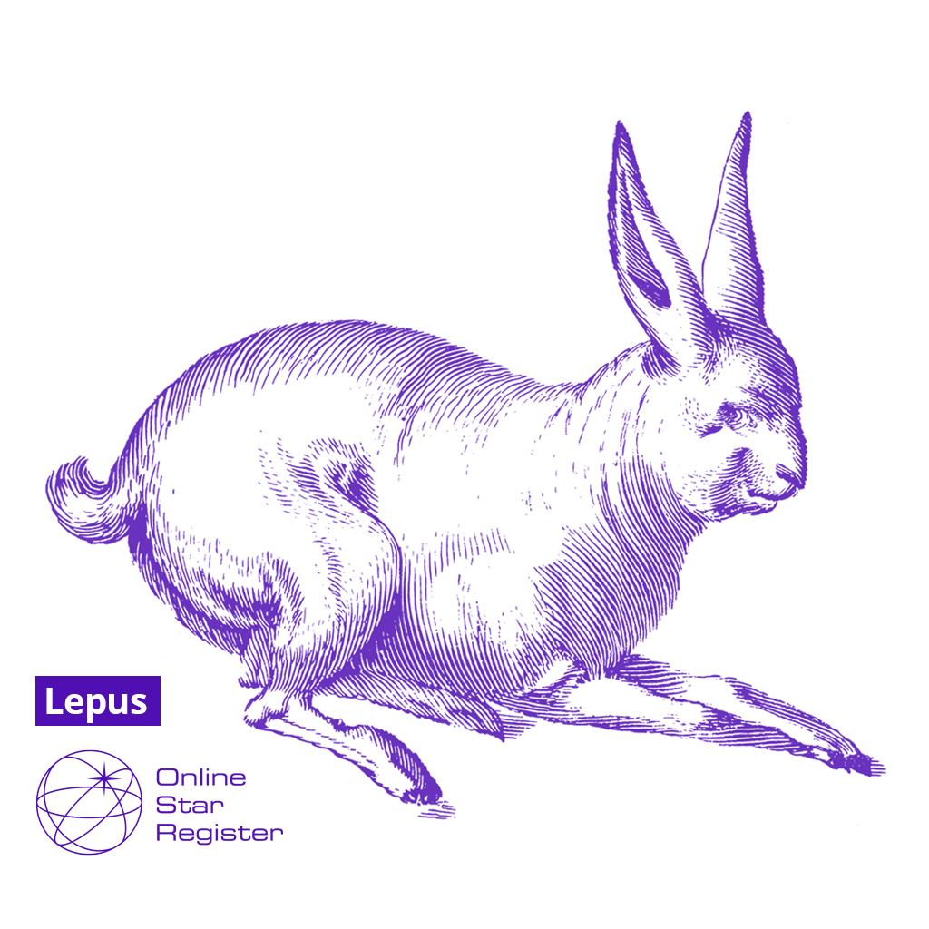 Lepus