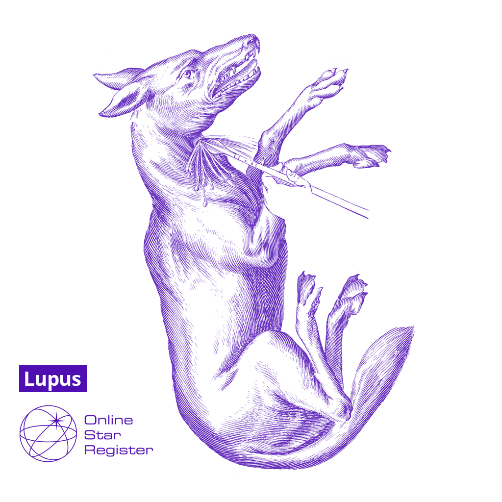 Lupus