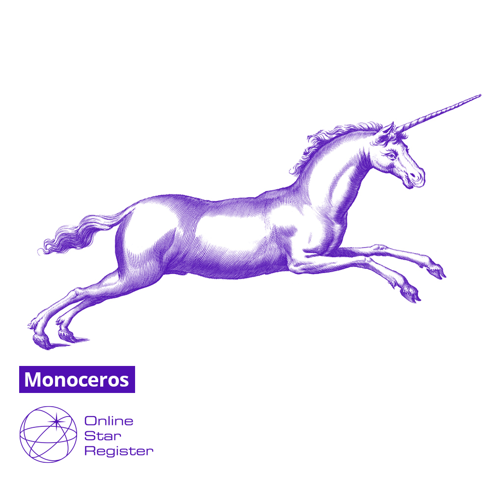 Monoceros 星座のギフトはいかがですか Monocerosから星に名付けましょう