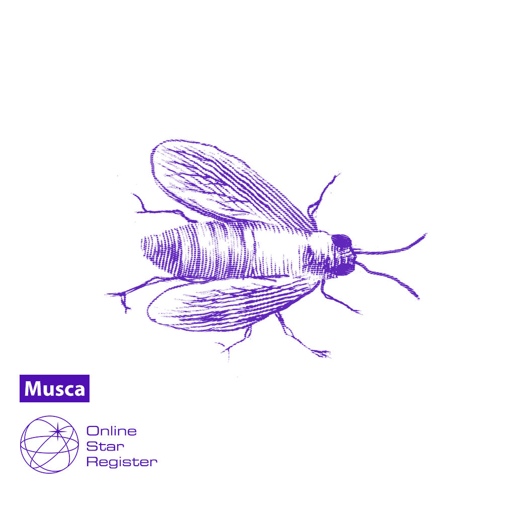 Musca 星座礼物 在musca中命名一颗星