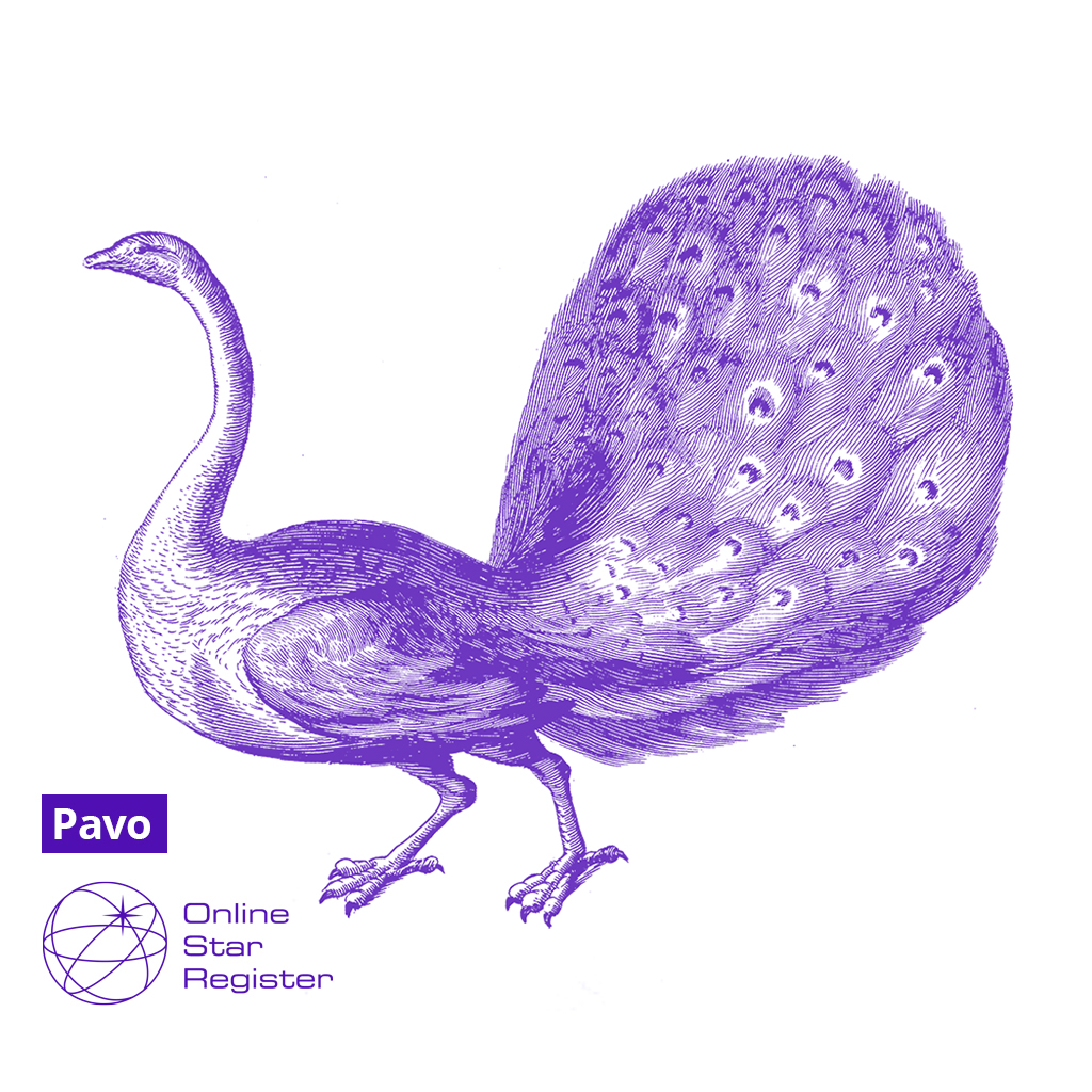 Pavo