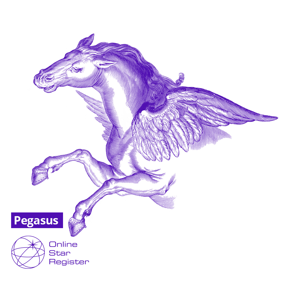 Pegasus 星座のギフトはいかがですか? Pegasusから星に名付けましょう!