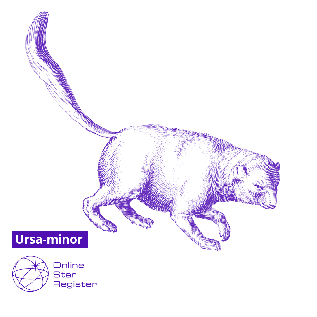 Ursa Minor