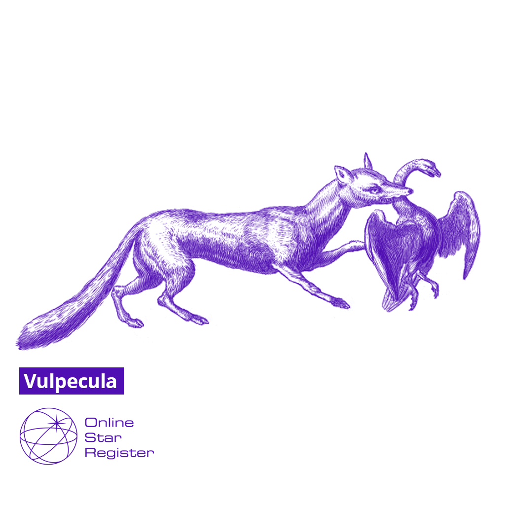 Vulpecula Constellation