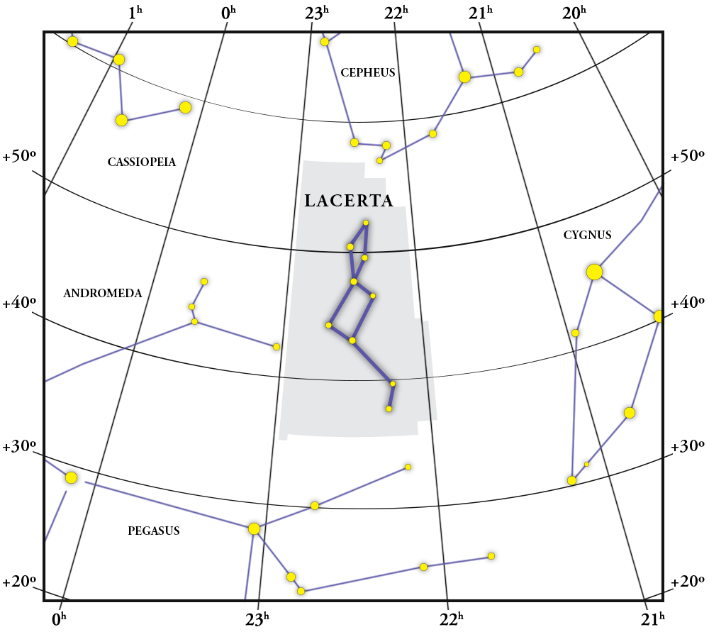 Lacerta Kort over konstellationer