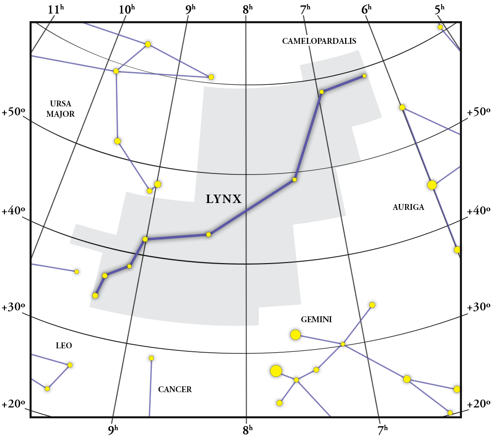 Lynx の星座図